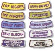 Little Dragon Achievement Patches